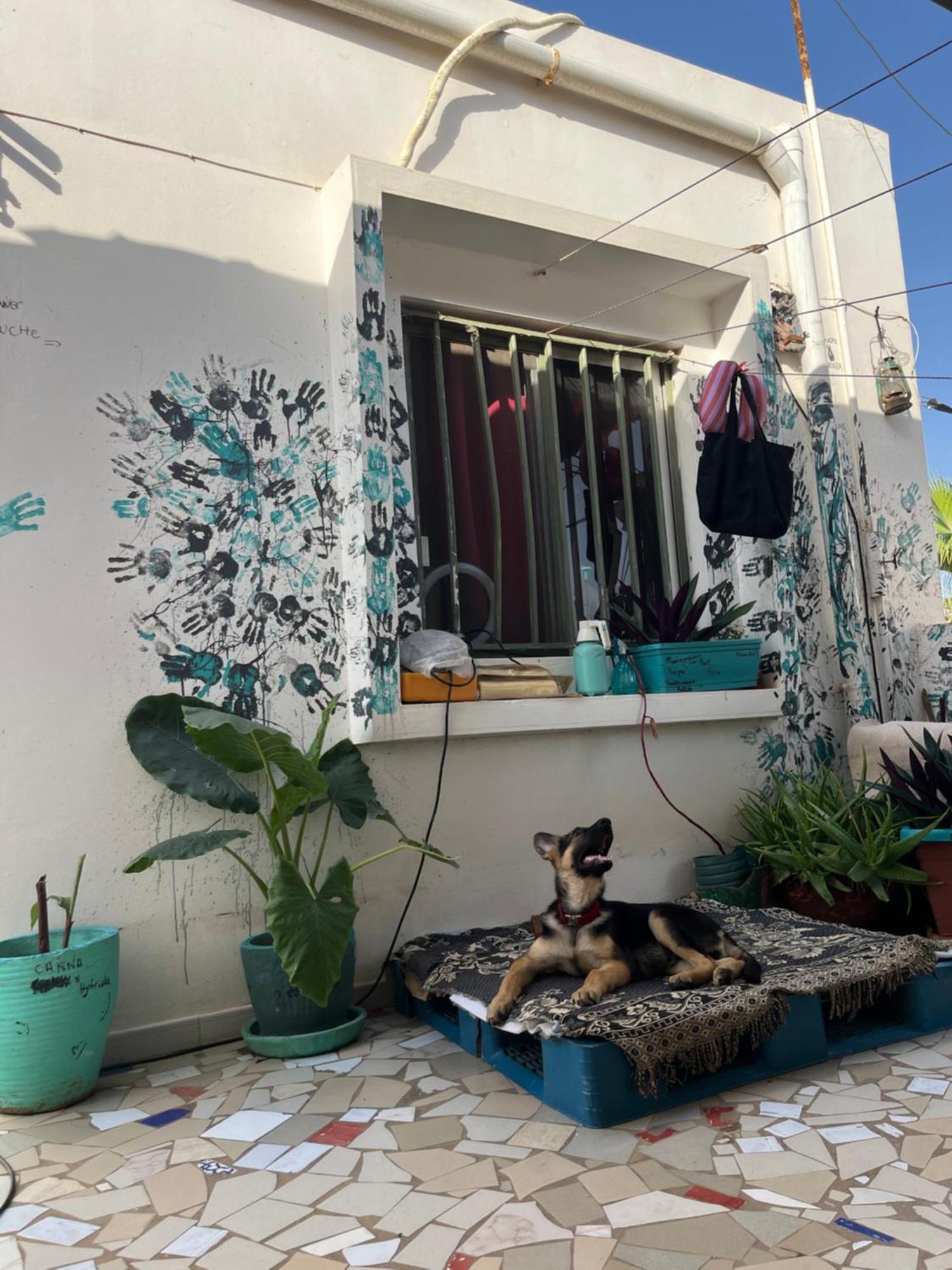 Dar Dyali Rooftop ⁿᵉᵃʳ ⁿᵍᵒʳ ᵇᵉᵃᶜʰ ᵃⁿᵈ ⁱˢˡᵃⁿᵈ Дакар Экстерьер фото