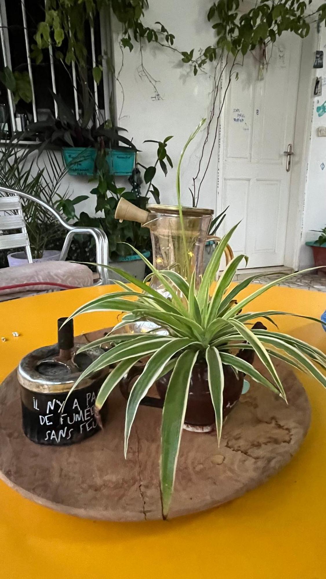 Dar Dyali Rooftop ⁿᵉᵃʳ ⁿᵍᵒʳ ᵇᵉᵃᶜʰ ᵃⁿᵈ ⁱˢˡᵃⁿᵈ Дакар Экстерьер фото